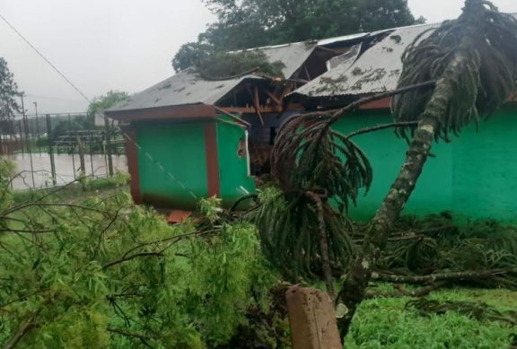 Por el temporal, se desplomó una Araucaria y causó daños en un Instituto educativo de San Pedro 
