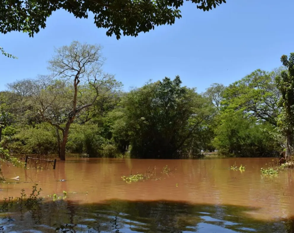 Comenzó a bajar el río Uruguay en Santo Tomé 