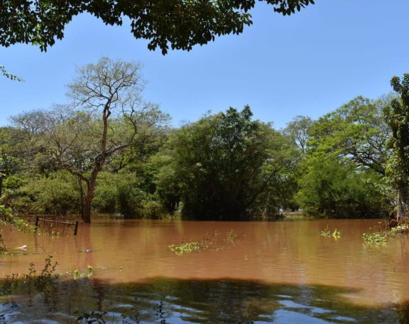 Comenzó a bajar el río Uruguay en Santo Tomé 