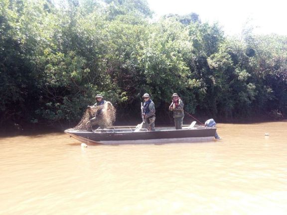 Rige la veda de pesca en los ríos Paraná e Iguazú