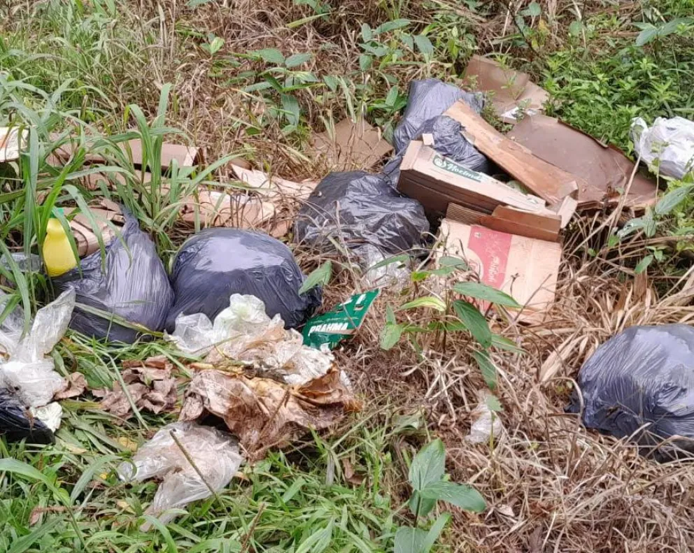 San Pedro: preocupación de vecinos por proliferación de mosquitos en basural a cielo abierto