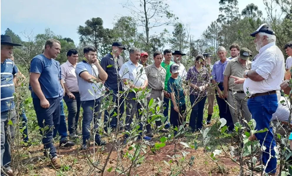 Temporal generó pérdidas de hasta 50% en función del cultivo y la zona