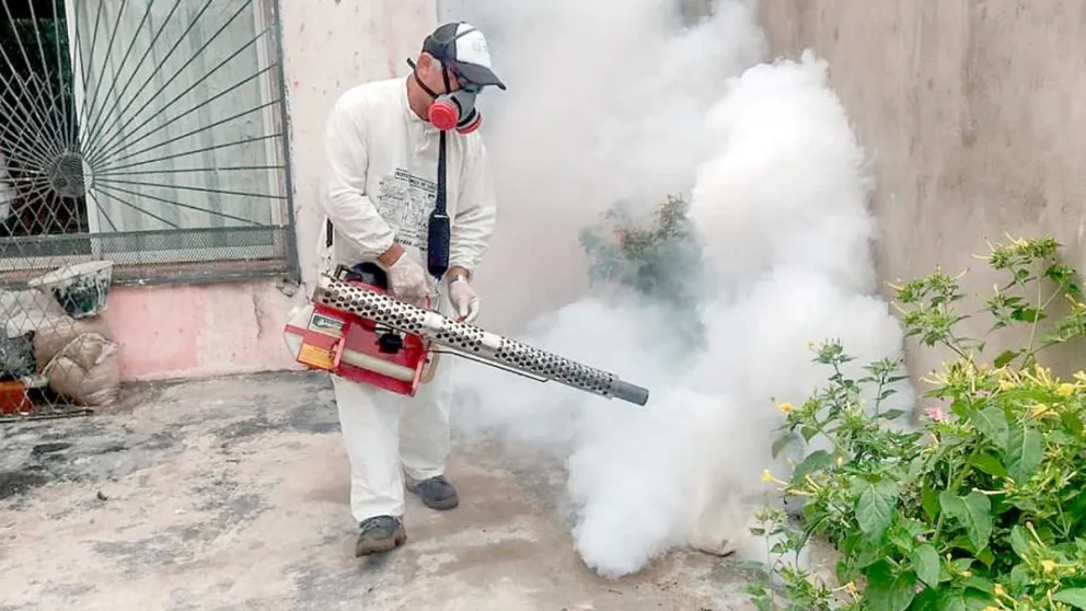 El Ministerio de Salud recordó medidas de prevención frente al ascenso de casos de dengue