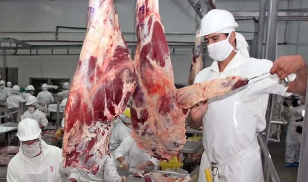 Estados Unidos: dos senadores pidieron suspender el ingreso de carne paraguaya