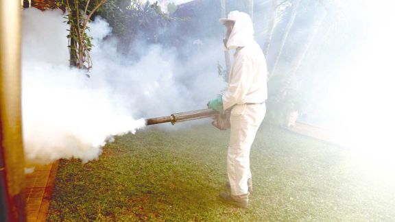 Dengue: el contagio de varios serotipos y el riesgo de un caso hemorrágico