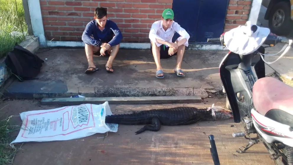 Insólito: en Ituzaingó cazaron un yacaré, lo trasladaban en una moto y fueron demorados