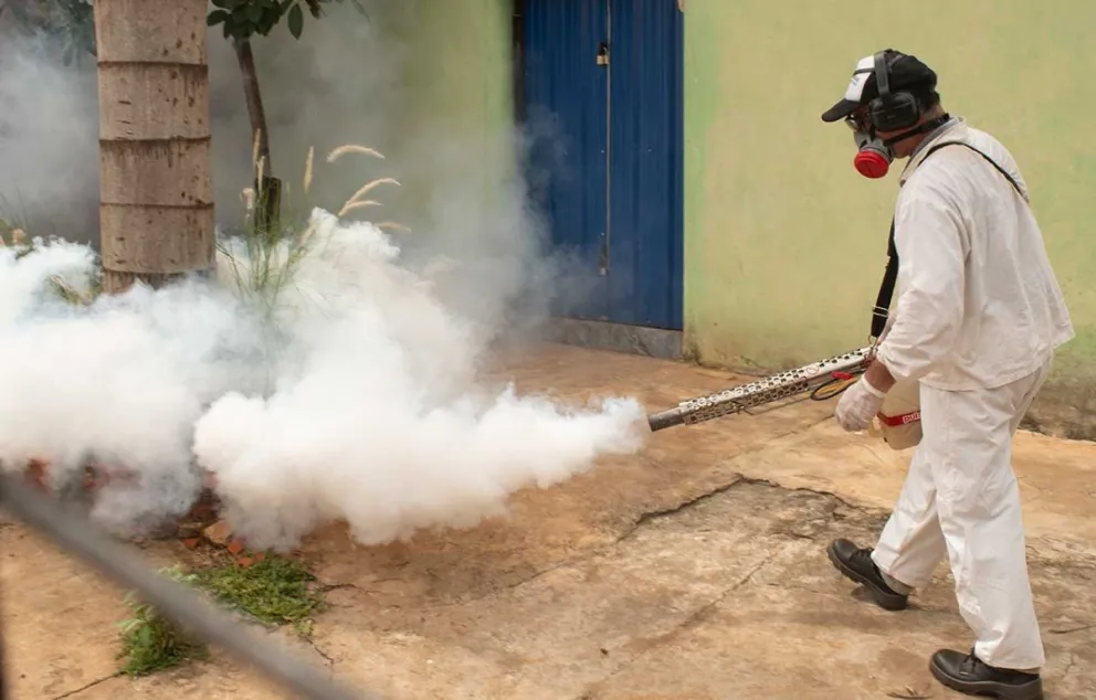 El municipio pide eliminar los criaderos tras las lluvias