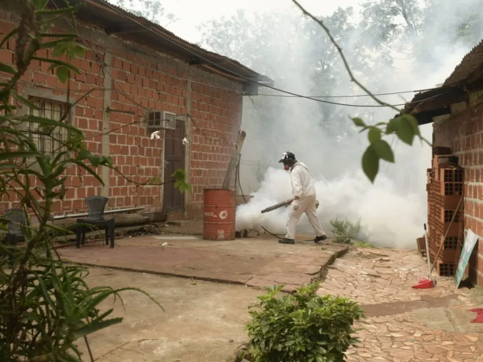 Dengue: la mayoría de los casos se dan en Posadas y monitorean el comportamiento de la enfermedad