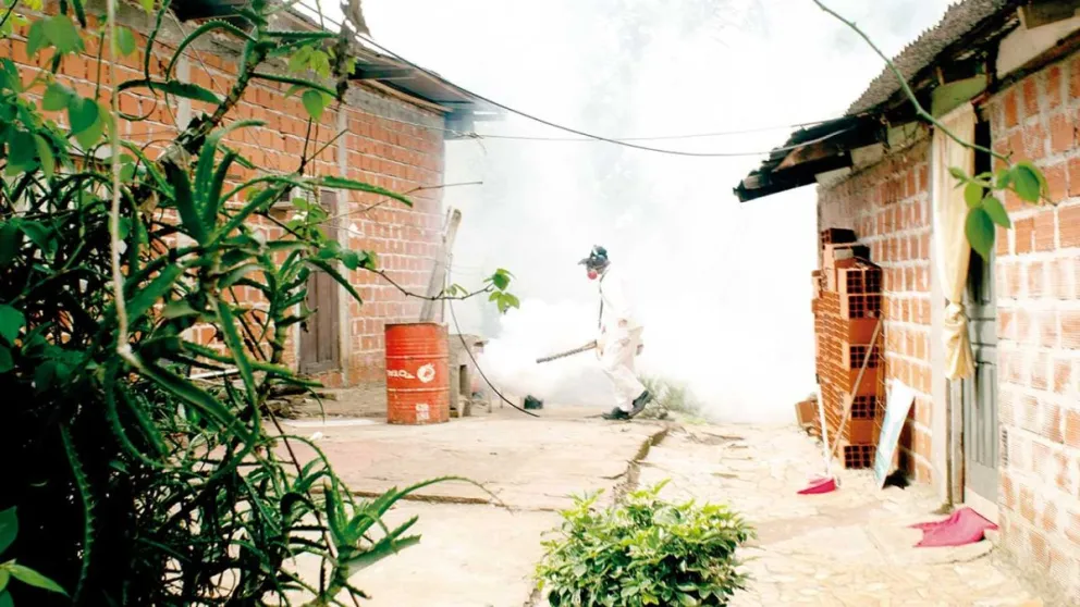 Posadas reúne mayoría de casos de dengue y monitorean el interior