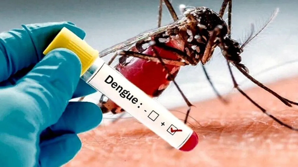 De fiebre alta a sarpullido, ¿cuáles son los principales síntomas del dengue?