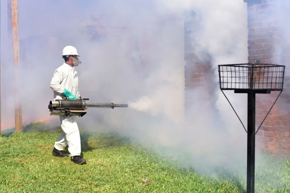 Dengue: "Hoy el foco está en barrios de Oberá y Posadas"