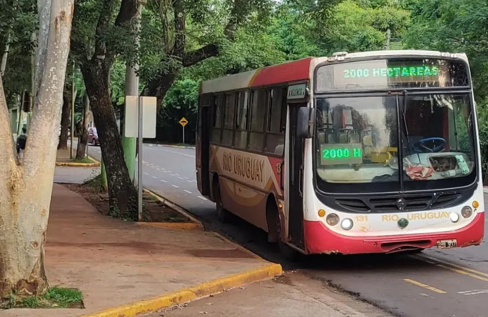 Iguazú: solicitan que el boleto de transporte público de pasajeros cueste 1.322,99
