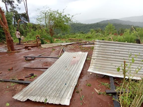 San Pedro: temporal dañó plantaciones y una docena de casas en la comunidad Alecrín