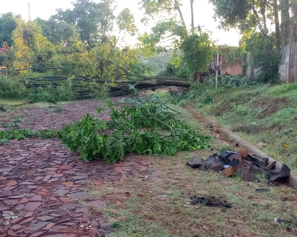 Varios barrios de Puerto Iguazú sin energía hace más de 12 horas por la tormenta