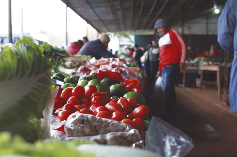 Productores buscan alternativas para cosechar y vender en las ferias