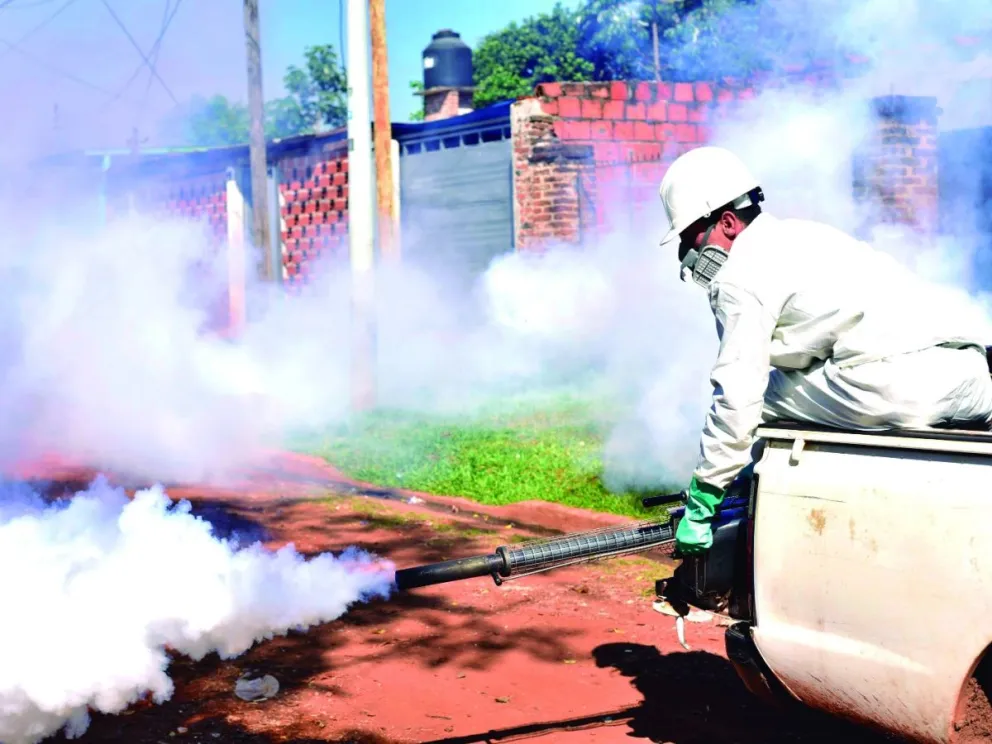Dengue: Posadas, Iguazú y Eldorado son los municipios con más casos detectados