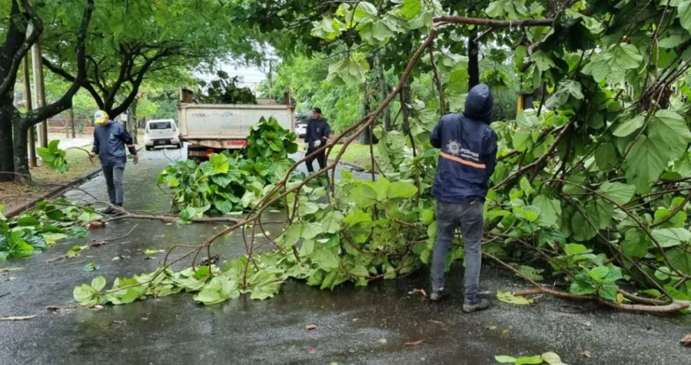 Continúa el relevamiento en Posadas ante los daños causados por la tormenta