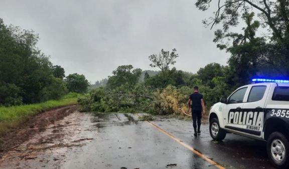 La tormenta dejó sin techo a familias de Santa Ana y sin luz a varias localidades