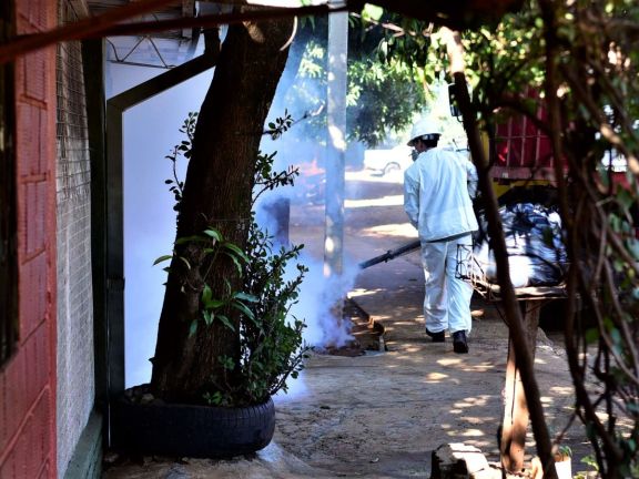 Trece departamentos de Misiones tienen circulación viral autóctona de dengue