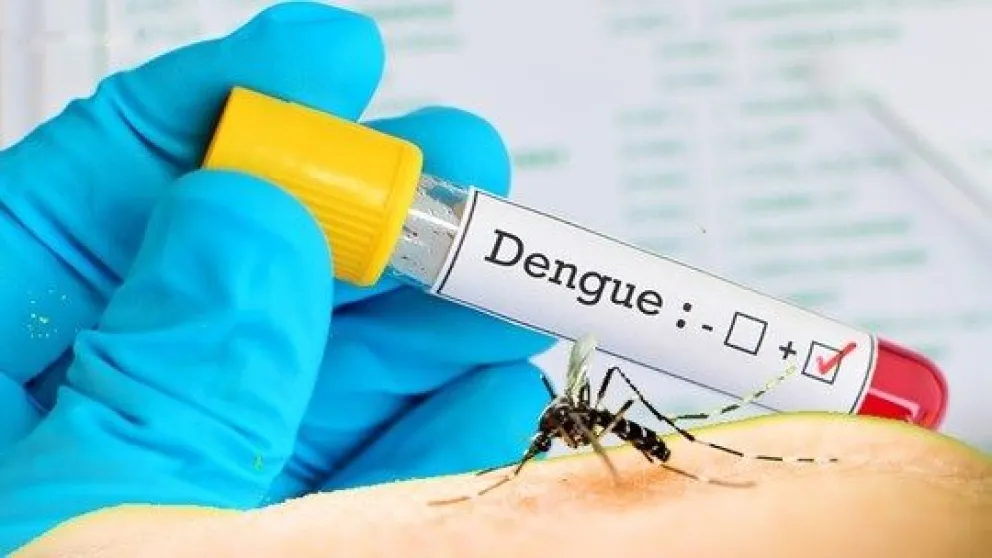 Dengue: Misiones ya registra 3537 casos