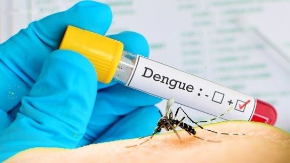 Dengue: la curva de contagios se mantiene elevada 