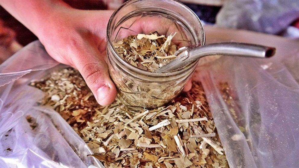 La yerba de molienda gruesa gana adeptos para el tereré en la temporada de  verano | El Territorio