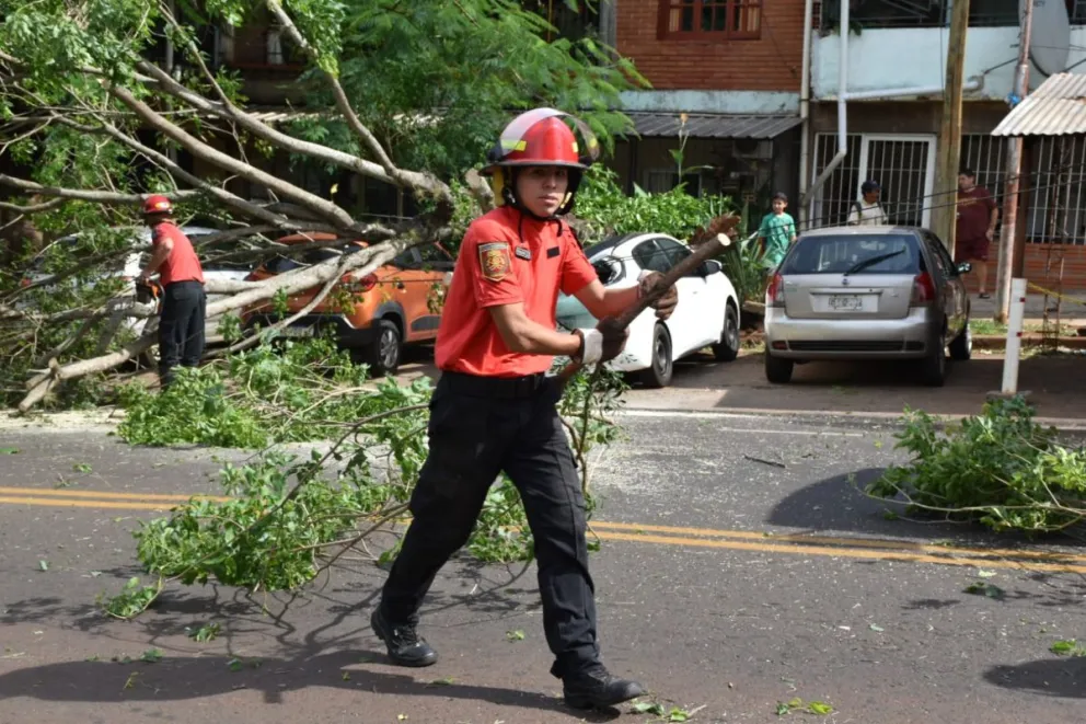 Varias zonas de Posadas sin luz tras la tormenta de viento