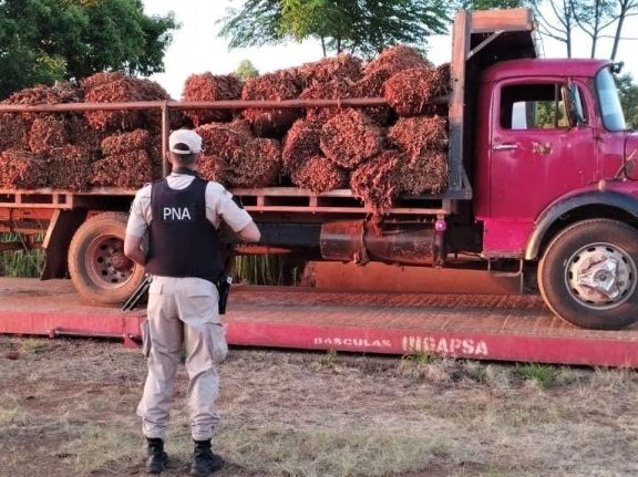 Prefectura decomisó más de 5 toneladas de tabaco en la frontera con Brasil