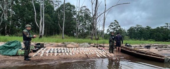Ituzaingó: secuestraron 300 kilos de sábalos que tenía en su poder un paraguayo que pescaba ilegalmente