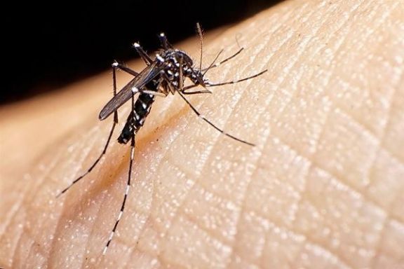 Salud Pública recuerda que ante síntomas de dengue se puede concurrir sin turno a los Caps