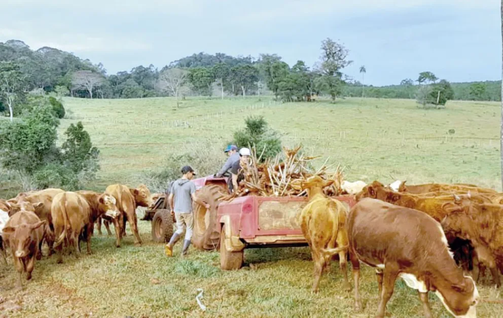 Apuntan a instalar más frigoríficos en la provincia para bajar costos