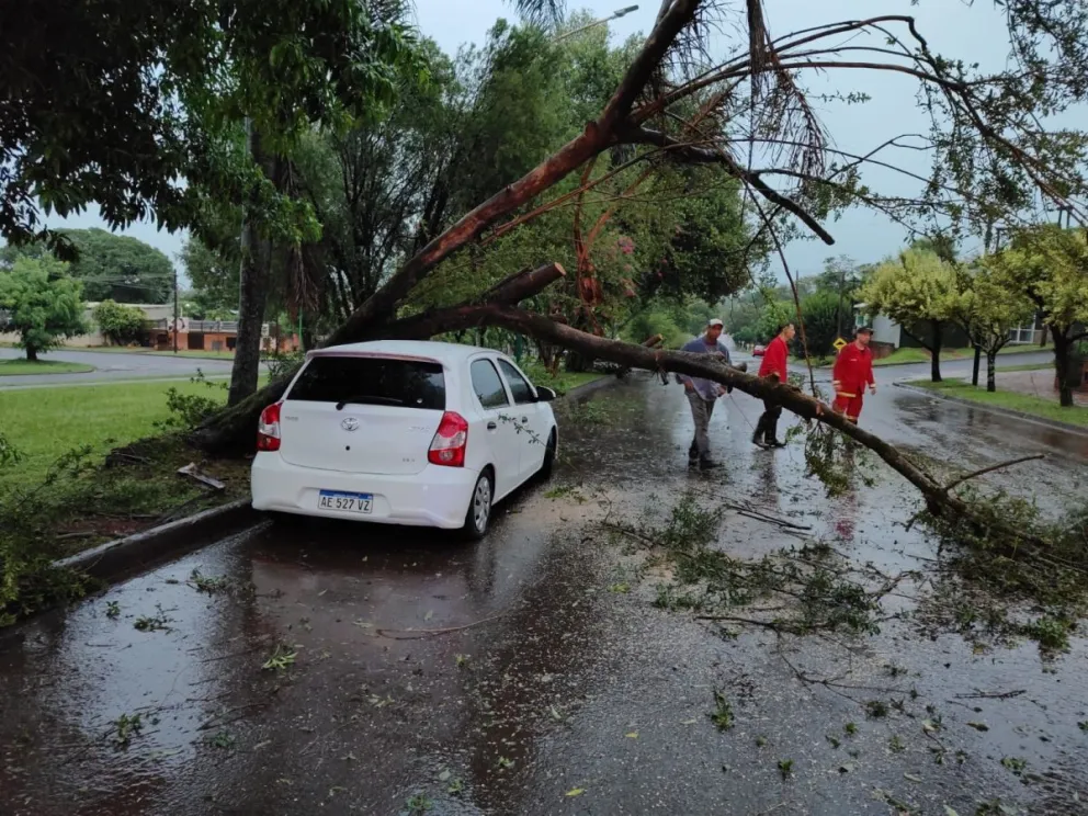 La fuerte tormenta causó estragos en la zona sur de Misiones con caída de árboles y postes