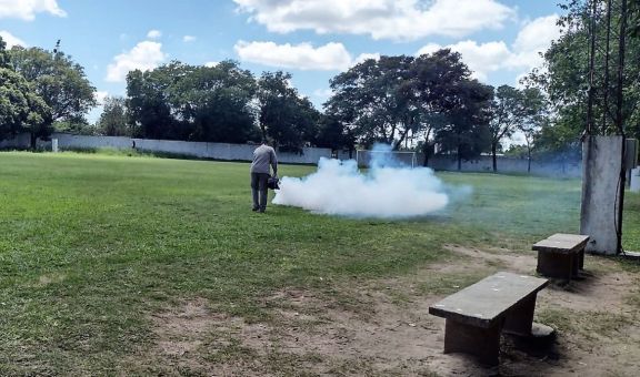 Corrientes: instan a la población a eliminar los criaderos de mosquitos 