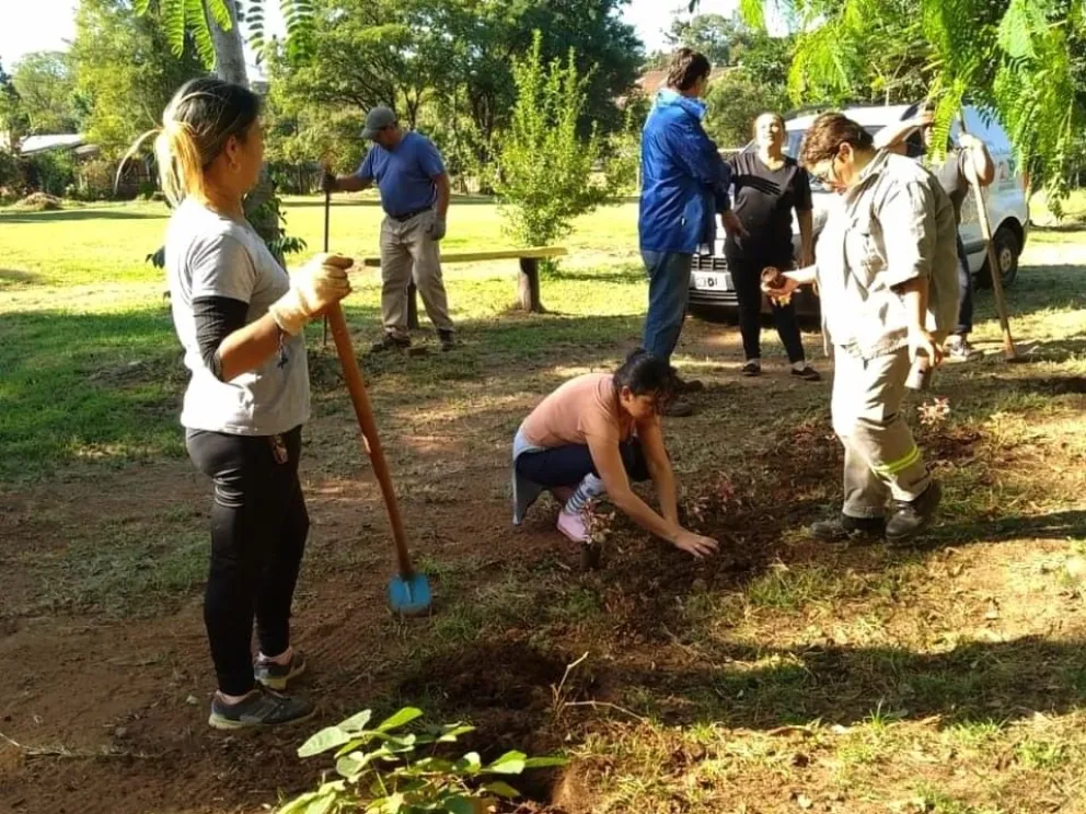 Más de 2 mil árboles se plantaron en zonas urbanas y rurales de Montecarlo