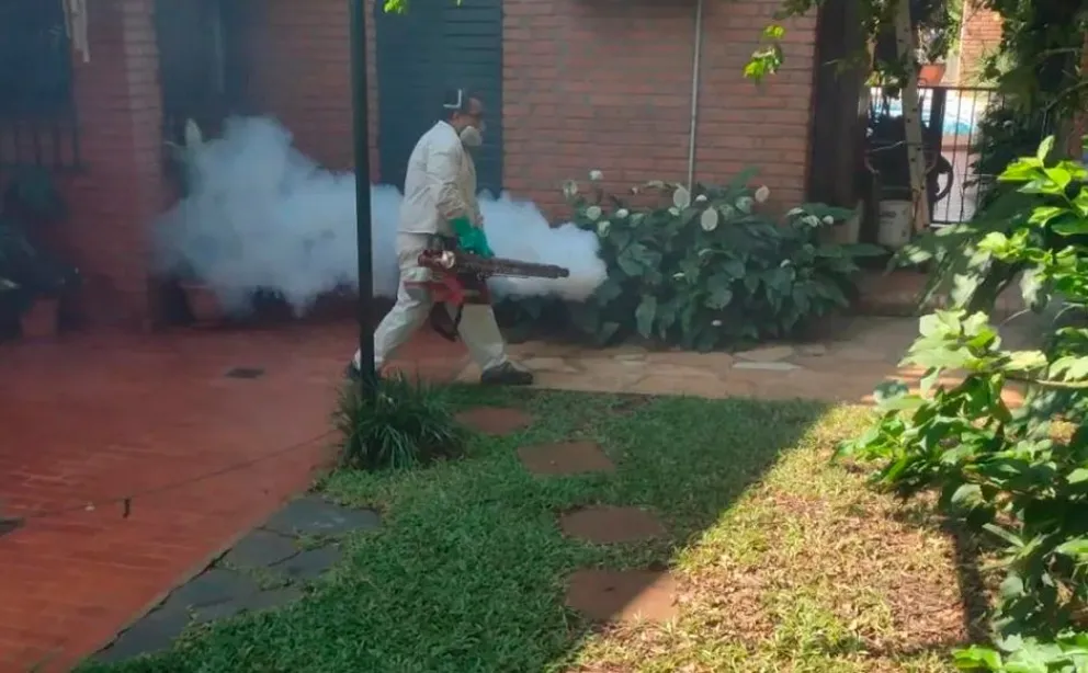 Extienden la fumigación a más barrios de Posadas