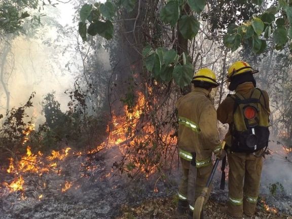 Sin lluvias a la vista, subió el riesgo de incendios en la zona Sur de Misiones