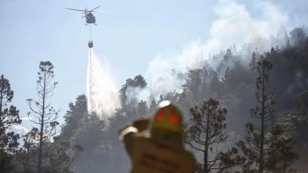 Incendio arrasó 600 hectáreas de bosque nativo en el Parque Los Alerces