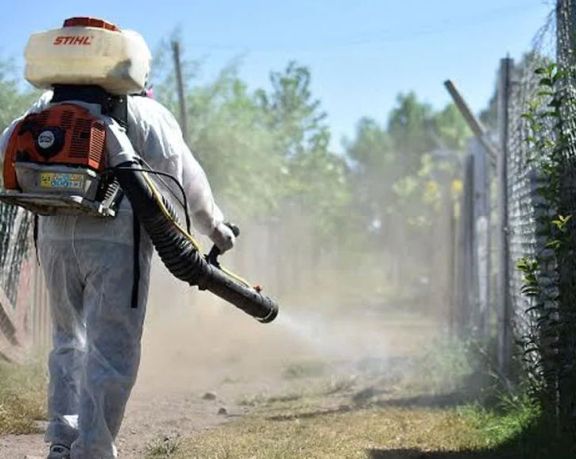 Santo Tomé reporta 117 casos de dengue activos
