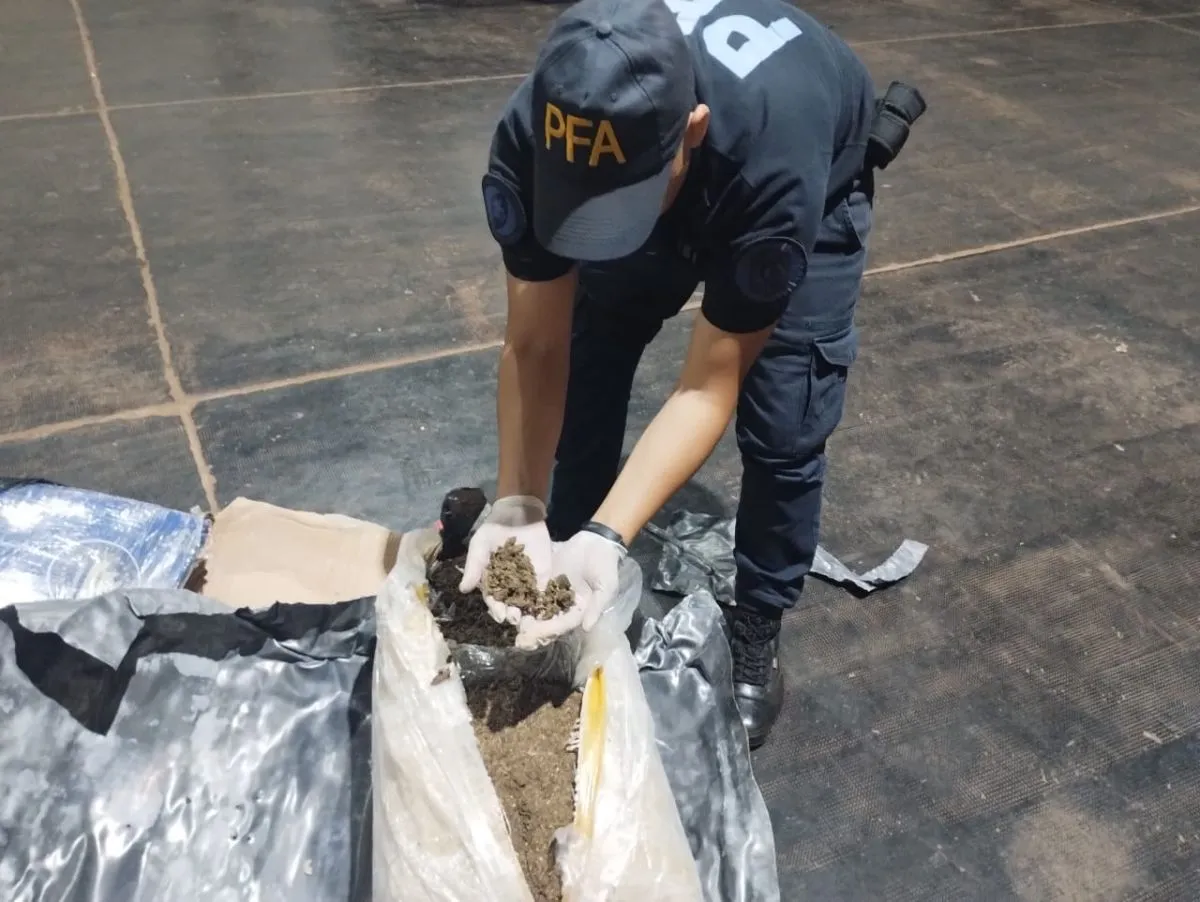 Cayó banda que mandaba droga por encomiendas a diferentes puntos del país