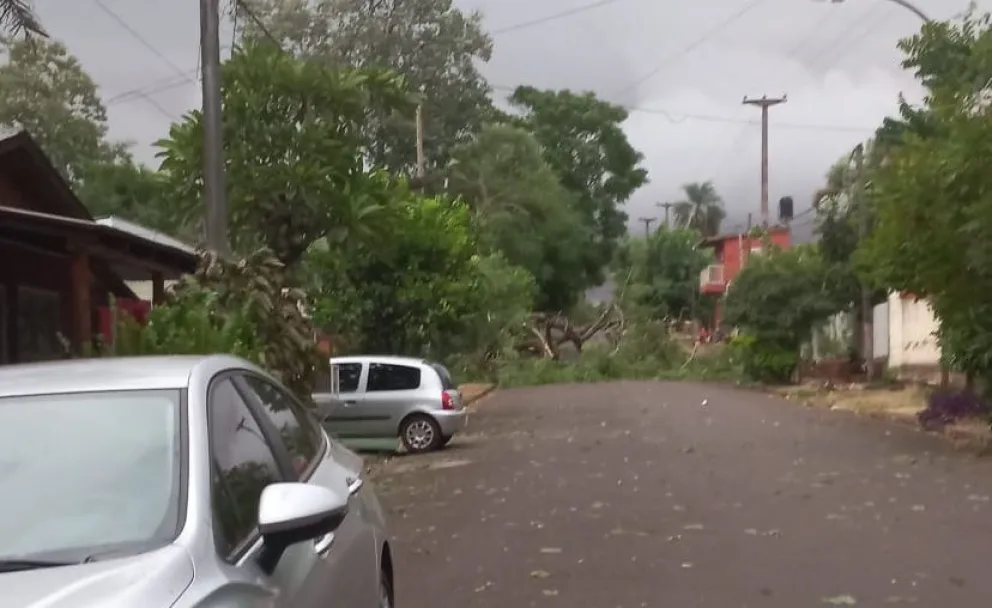 Puerto Iguazú: fuertes ráfagas de viento provocaron caídas de árboles y voladuras de techos