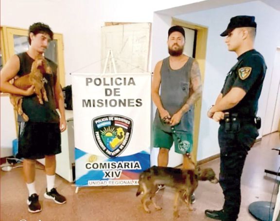 Crueldad y abandono de animales en el barrio Fátima