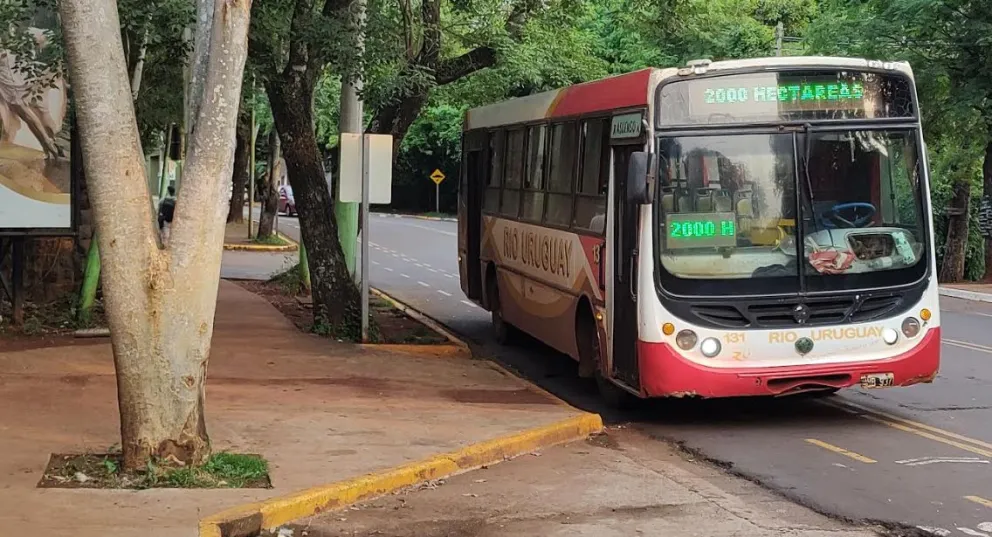 Iguazú espera respuestas favorables para la llegada de la SUBE Nacional