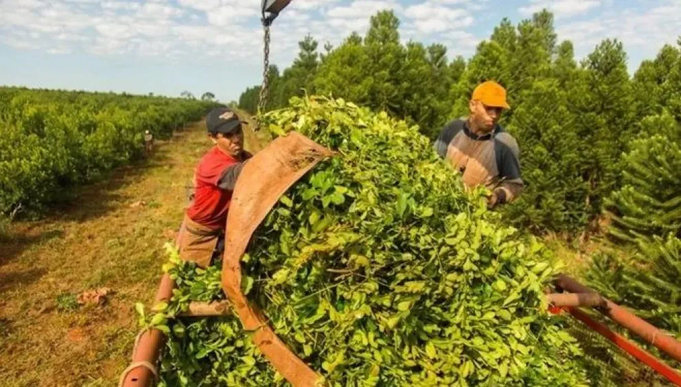 Piden prorrogar beneficio del IPA para productores