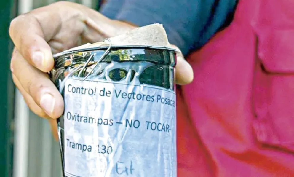 Colocarán trampas para mosquitos en más municipios