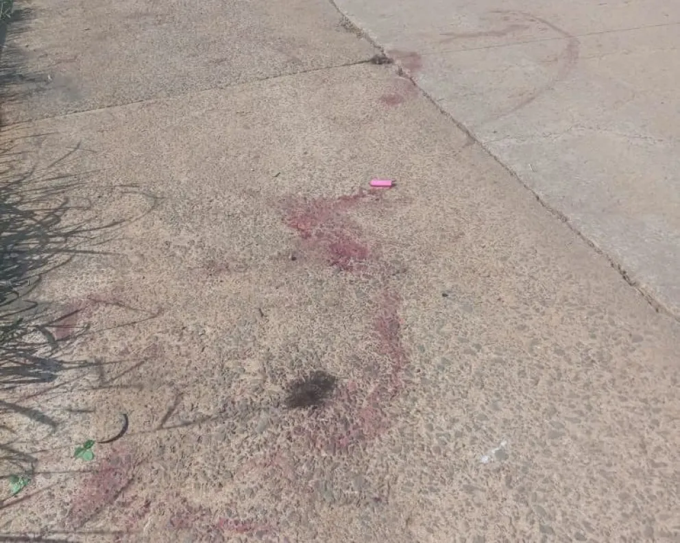 Bernardo de Irigoyen: Dos personas sufrieron graves heridas tras ser atacados por tres Pitbull