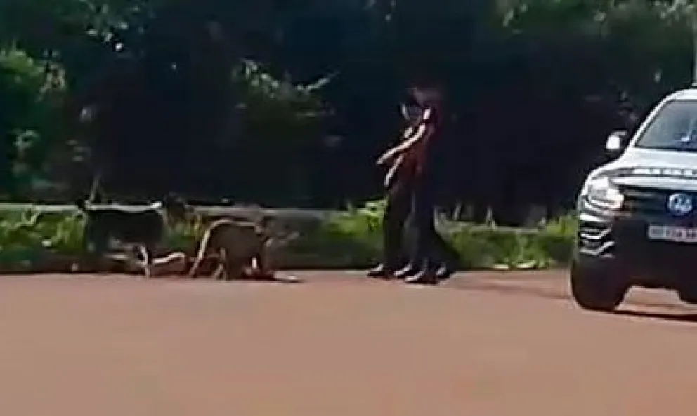 El ataque fue grabado por un vecino del lugar. Foto: captura video