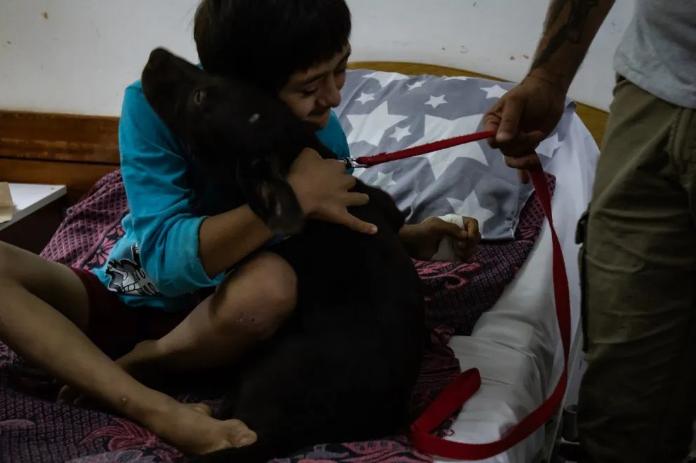 Implementan terapia con perros para niños internados en el Pediátrico de Posadas