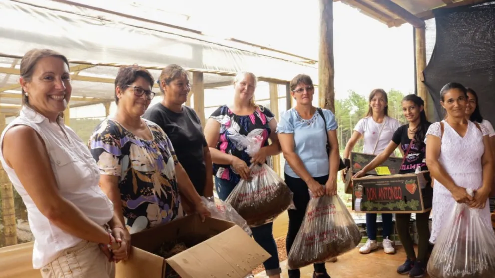 Más productoras avanzan en la actividad frutihortícola
