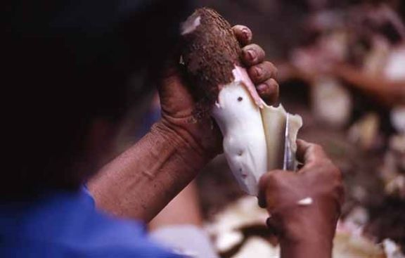 Cuchillo en mano: mañana será el concurso de pelado de mandioca