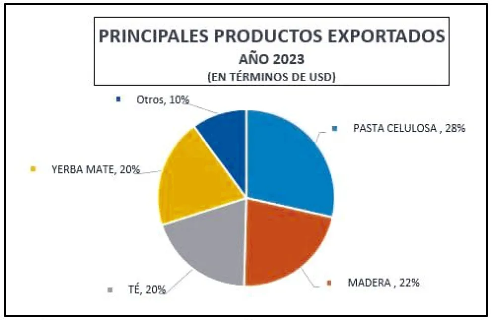 Detalles del estudio sobre exportación en Misiones